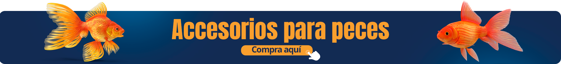 Imagen Banner Central 2