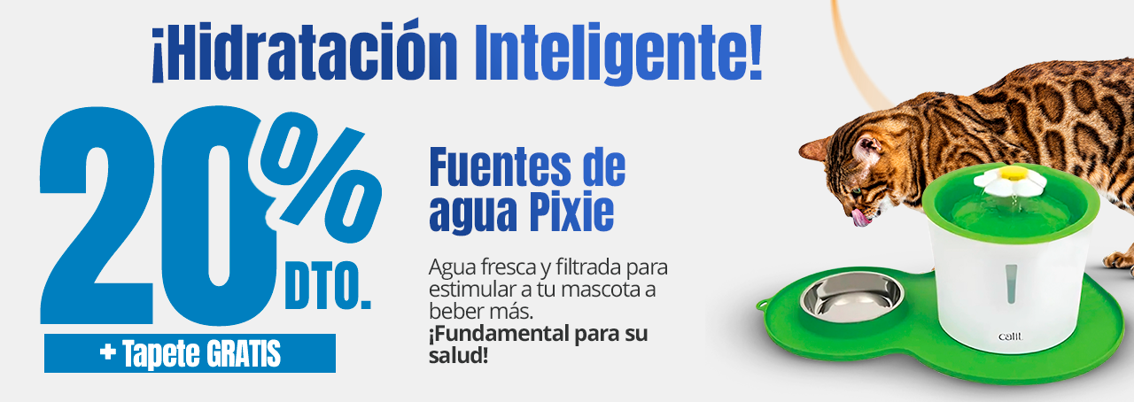 20% de Descuento