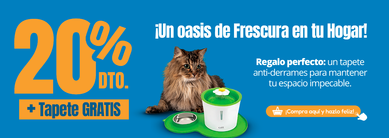 20% de Descuento