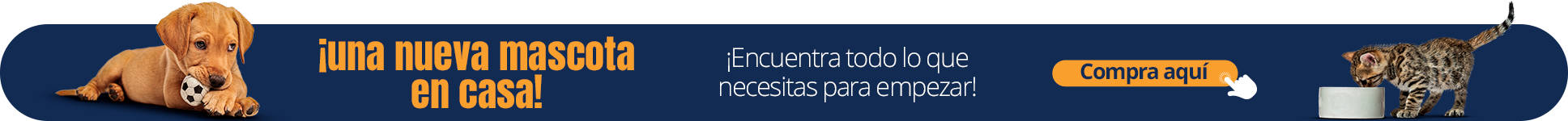 Imagen Banner Central