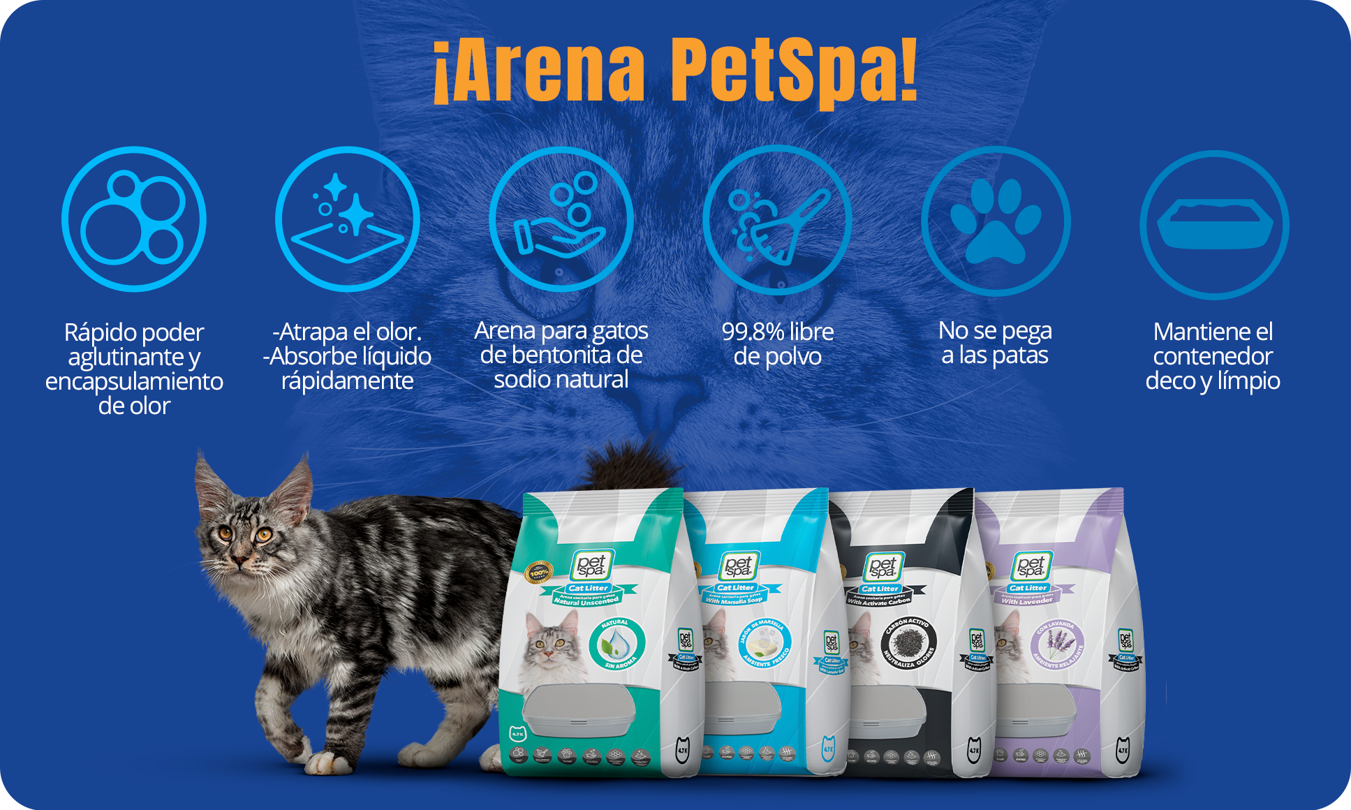 Imagen Banner agendamiento