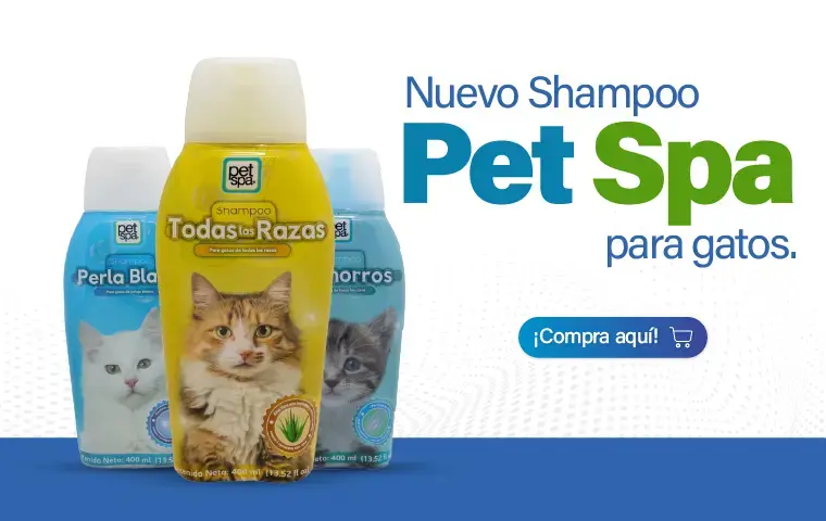 Shampoos para gatos pet spa